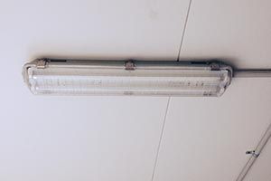 Internal light fitted to a Bluebox cool room